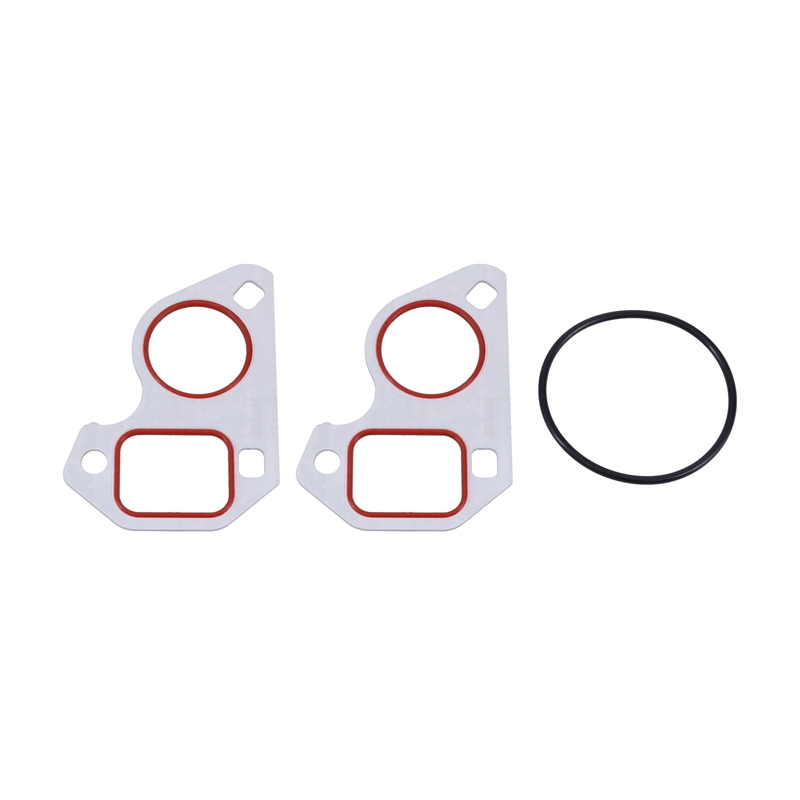 Engine Water Pump Gaskets